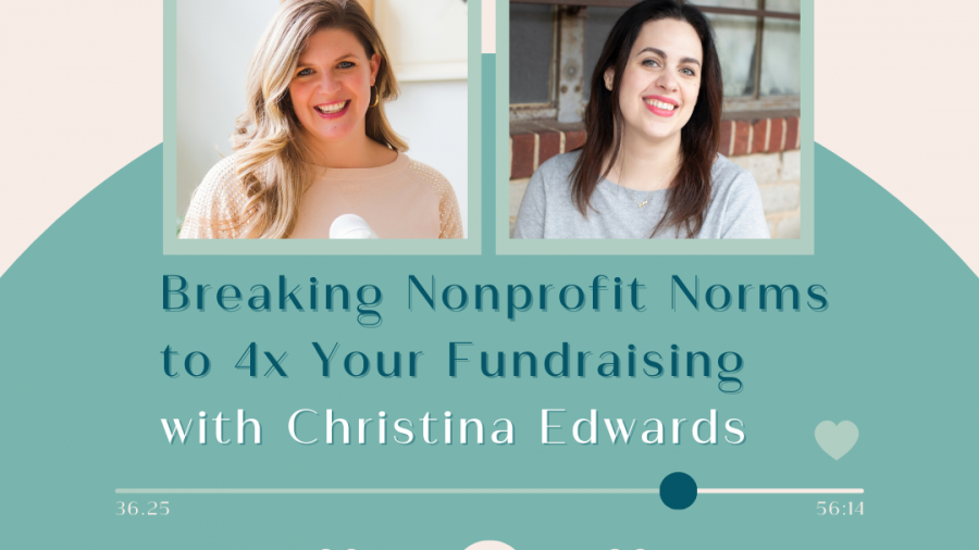 breaking nonprofit norms