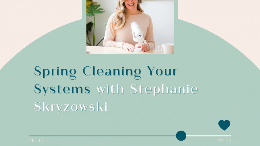 spring clean systems